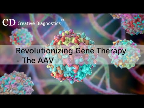 Revolutionizing Gene Therapy The AAV
