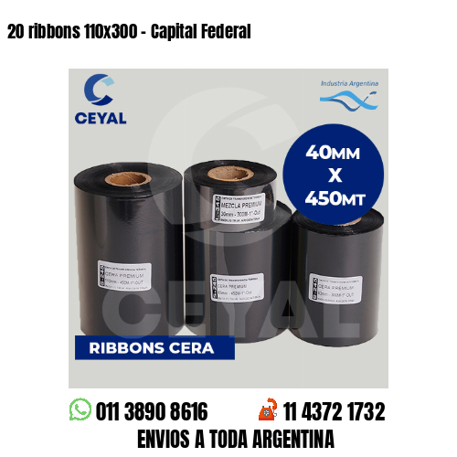20 ribbons 110×300 – Capital Federal