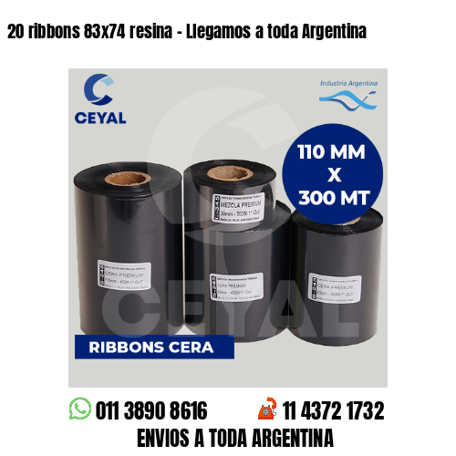 20 ribbons 83×74 resina – Llegamos a toda Argentina