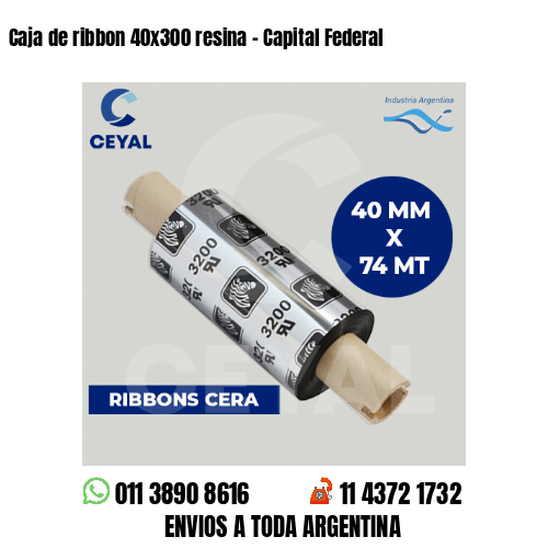 Caja de ribbon 40x300 resina - Capital Federal
