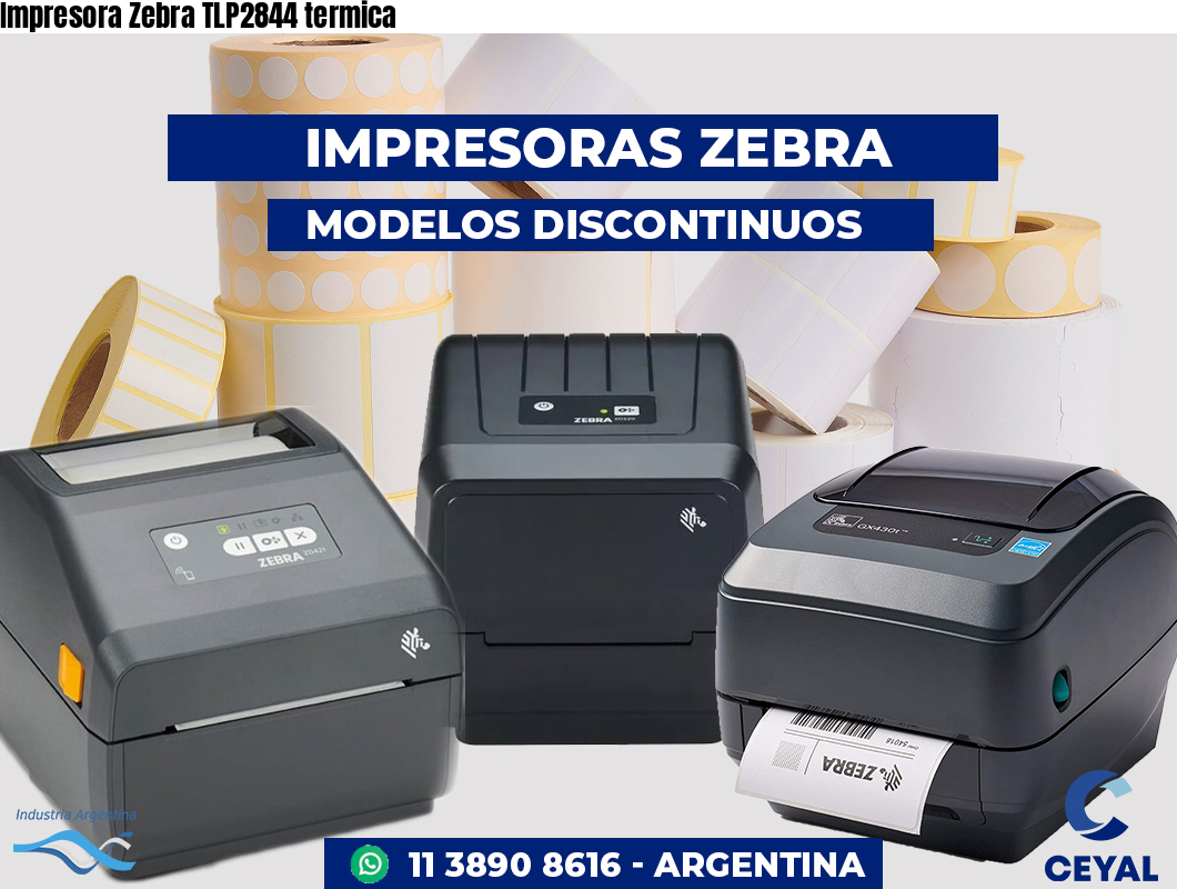 Impresora Zebra TLP2844 termica