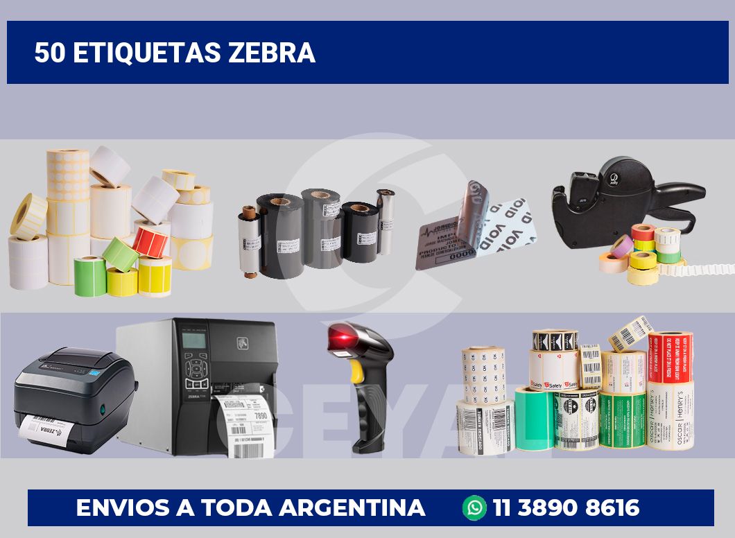 50 Etiquetas zebra