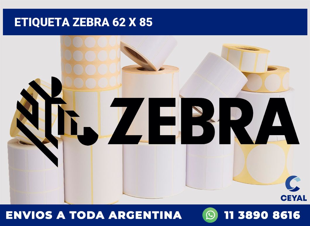 etiqueta zebra 62 x 85