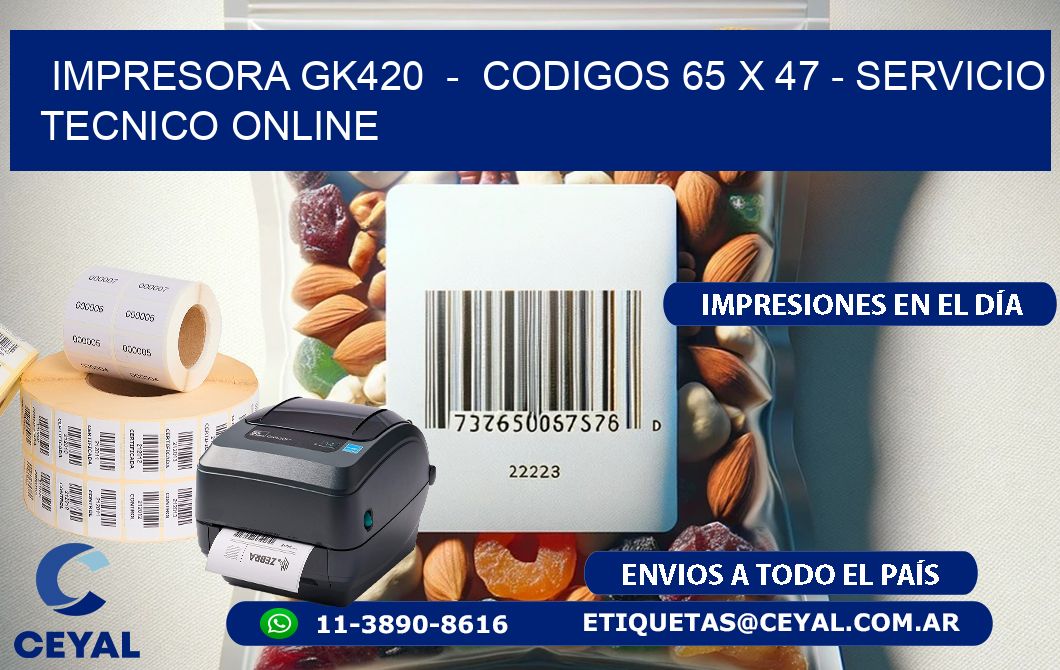 IMPRESORA GK420  -  CODIGOS 65 x 47 - SERVICIO TECNICO ONLINE