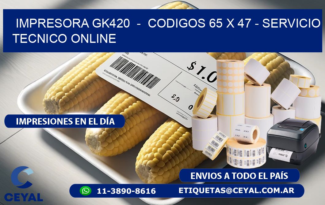 IMPRESORA GK420  -  CODIGOS 65 x 47 - SERVICIO TECNICO ONLINE