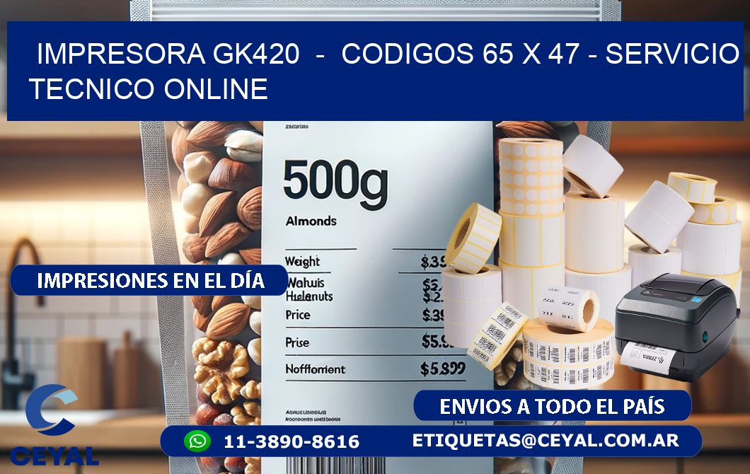 IMPRESORA GK420  -  CODIGOS 65 x 47 - SERVICIO TECNICO ONLINE