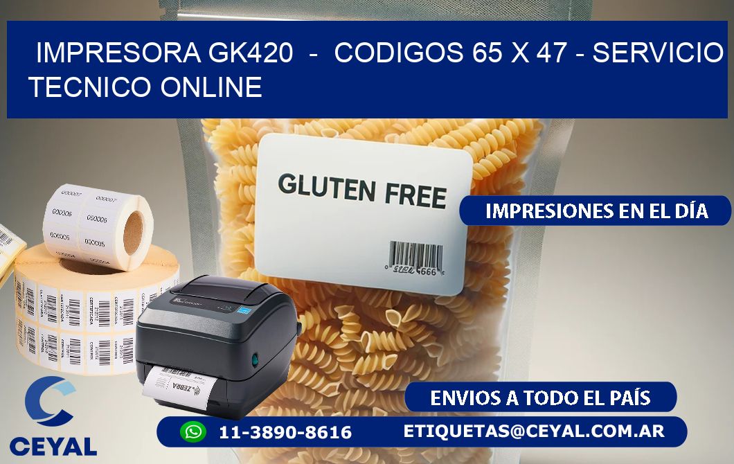 IMPRESORA GK420  -  CODIGOS 65 x 47 - SERVICIO TECNICO ONLINE