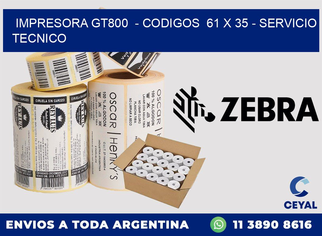 IMPRESORA GT800  - CODIGOS  61 x 35 - SERVICIO TECNICO