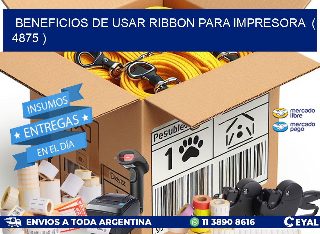 BENEFICIOS DE USAR RIBBON PARA IMPRESORA  ( 4875 )