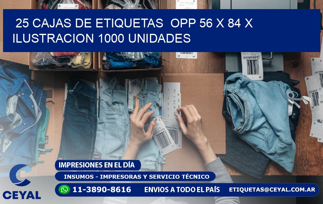 25 CAJAS DE ETIQUETAS  OPP 56 x 84 X ILUSTRACION 1000 UNIDADES