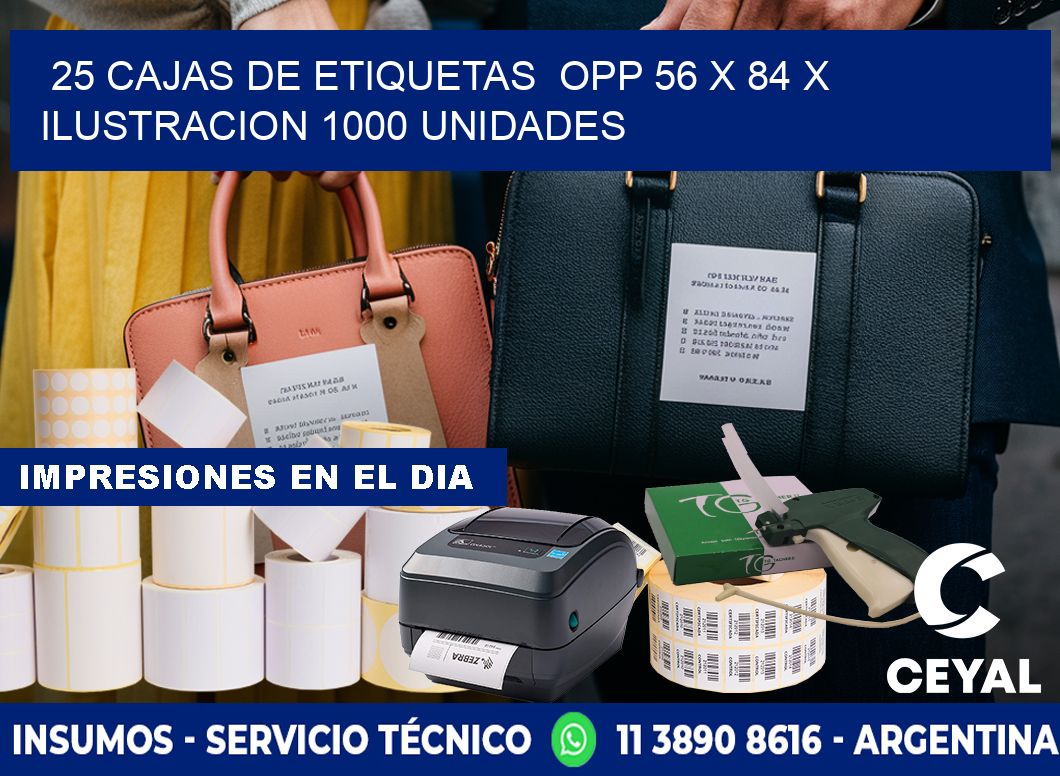 25 CAJAS DE ETIQUETAS  OPP 56 x 84 X ILUSTRACION 1000 UNIDADES