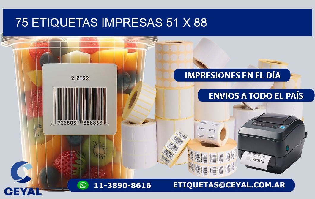 75 ETIQUETAS IMPRESAS 51 x 88